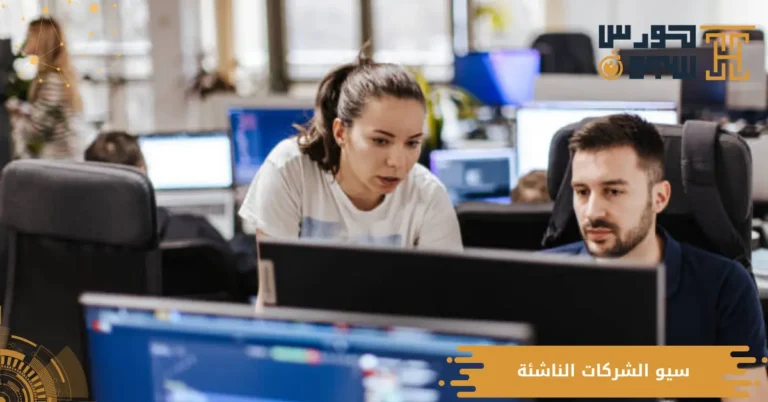 سيو الشركات الناشئة